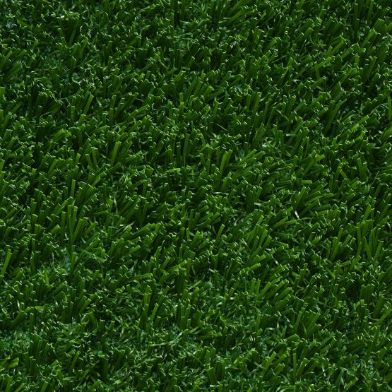 Bolt Landscape turf by Southwest Greens East Bay